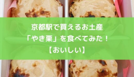 【食レポ】京都駅で買えるお土産「やき栗」を食べてみた！【おいしい】