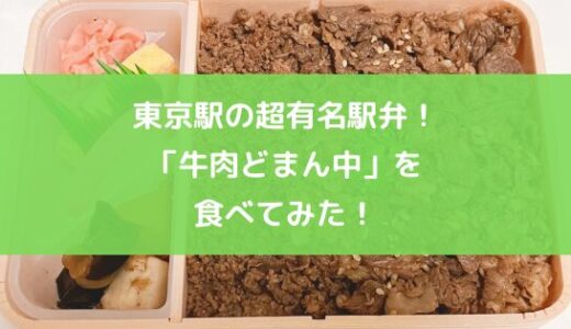 東京駅の超有名駅弁！「牛肉どまん中」を食べてみた！【口コミ】